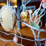 洛奇特科酒店 酒店 Czajowice