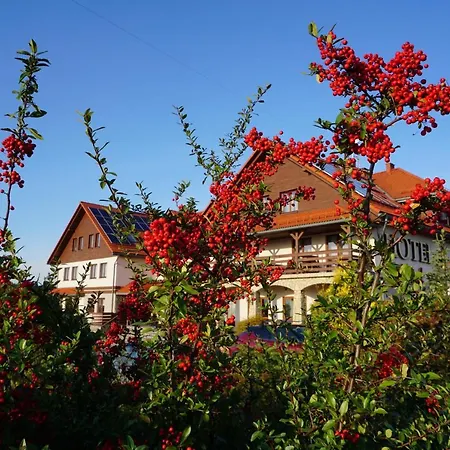 洛奇特科酒店 Czajowice