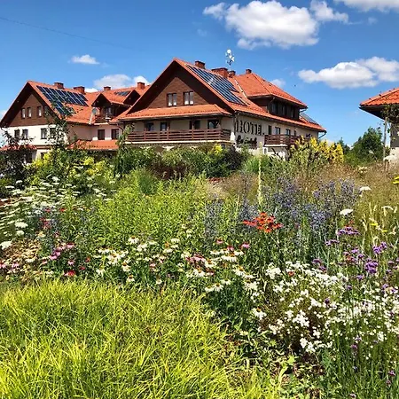 łokietek Hotel Czajowice