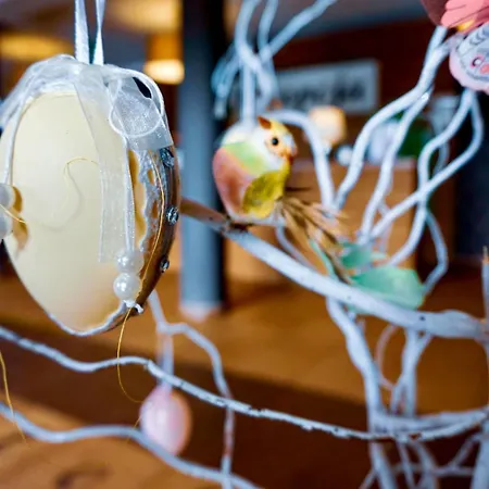 łokietek Hotel Czajowice